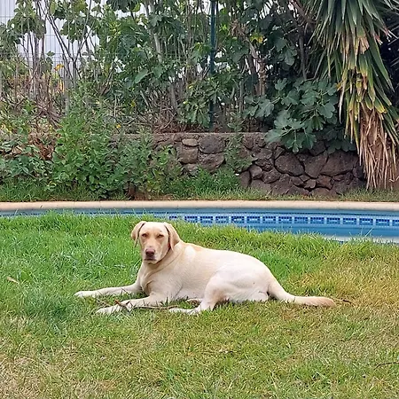 Holiday home Dona Herminda *