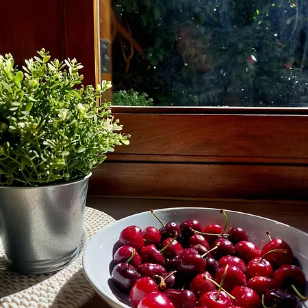 Dona Herminda Semesterbostad *