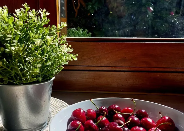 Dona Herminda Semesterbostad *