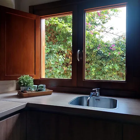 Dona Herminda La Matanza De Acentejo