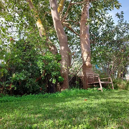 Casa Rural Dona Herminda La Matanza De Acentejo