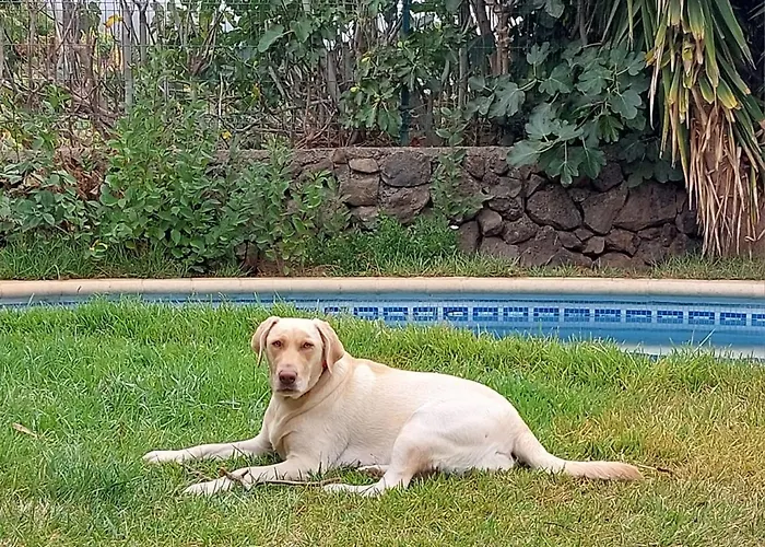 펜션 Dona Herminda *