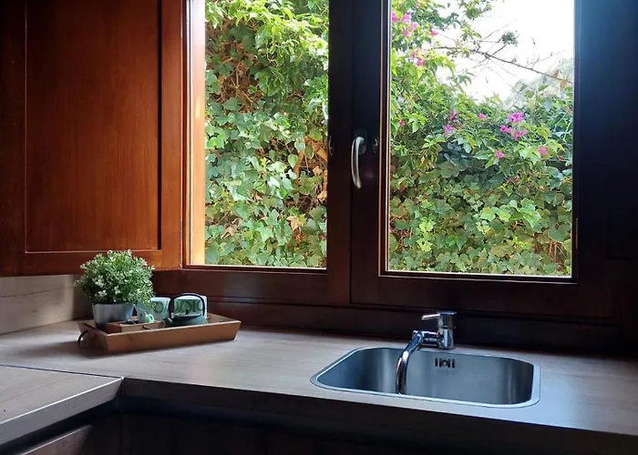 Dona Herminda La Matanza De Acentejo