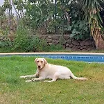 Vakantiehuis Dona Herminda *